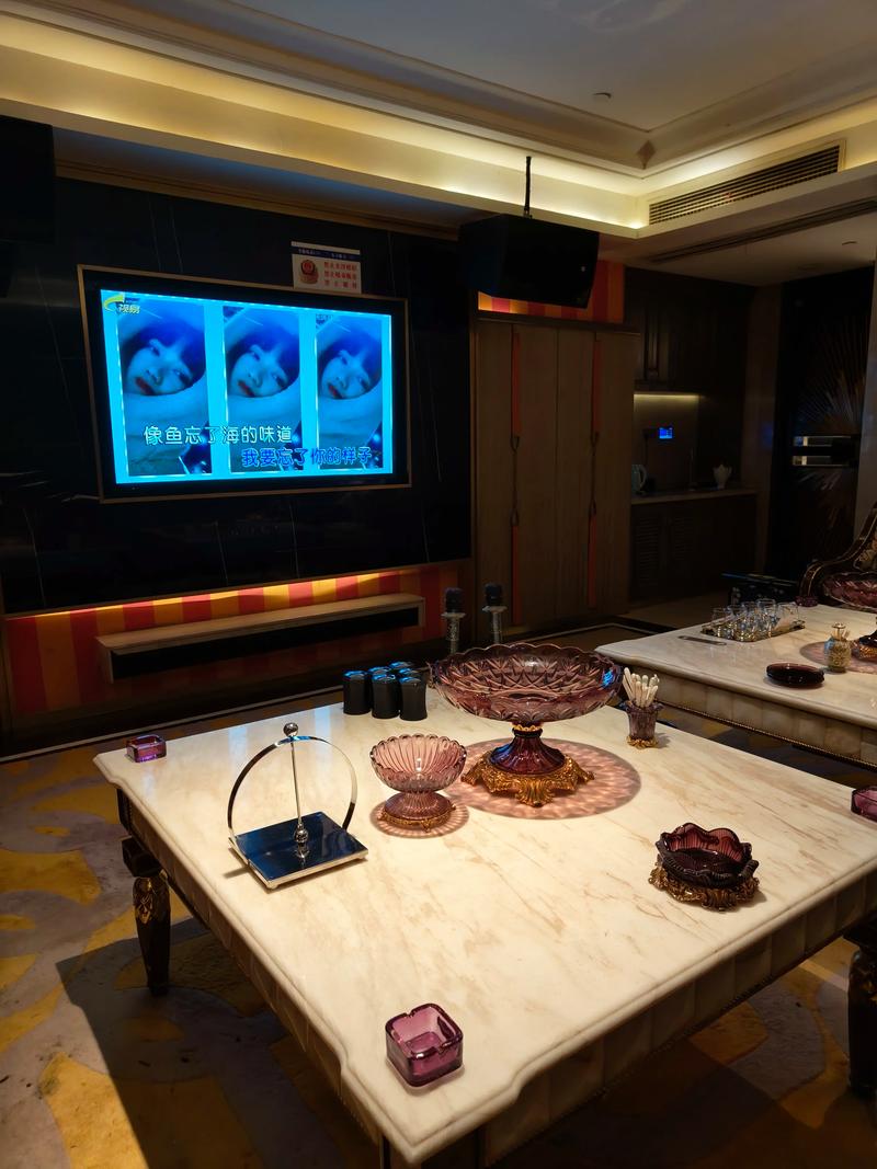 临沂商务ktv攻略-罗庄区ktv预定